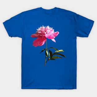 Pink Peony Profile T-Shirt